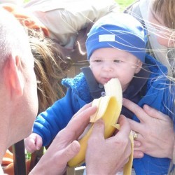 Koala 185 - Scouts en Gidsen Zaventem 
